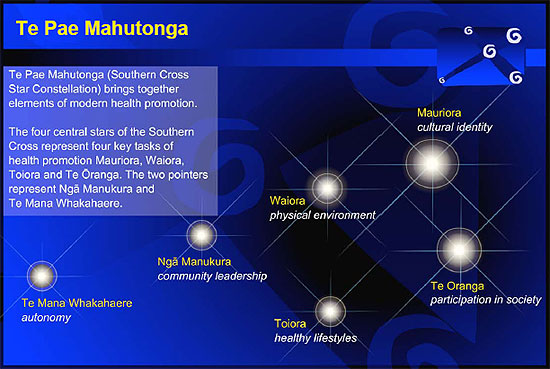 Te Pae Mahutonga diagram. 