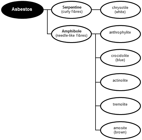 Asbestos is grouped into serpentine (curly fibres) and amphibole (needle-like fibres). Chrysotile (or white asbestos) is the only serpentine type of asbestos. The amphibole types are anthrophylite, crocidolite (blue asbestos), actinolite, tremolite and amosite (brown asbestos). 