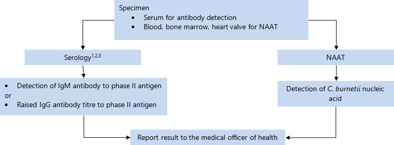 Specimen: serum for antibody detection; blood, bone marrow, heart valve for NAAT. On serology, if IgM antibody to phase II antigen detected or raised IgG antibody titre to phase II antigen, report result to the medical officer of health. On NAAT, if C. burnetii nucleic acid detected, report result to the medical officer of health. 
