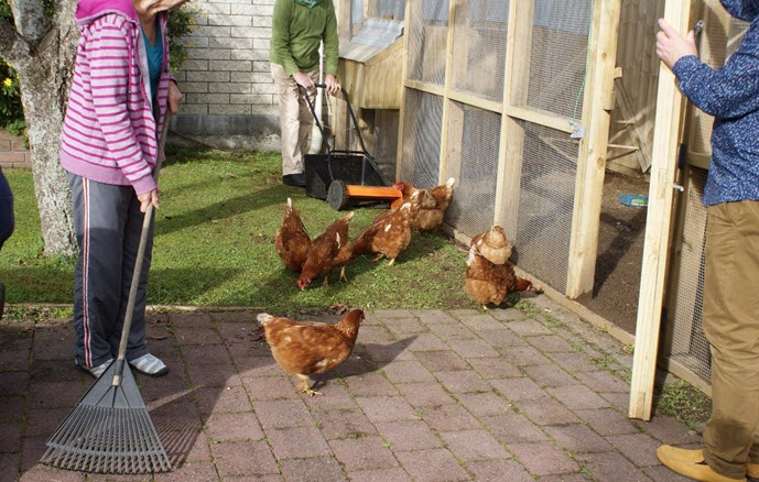 Hens with residents at Brooklands Rest Home and Memory Care
