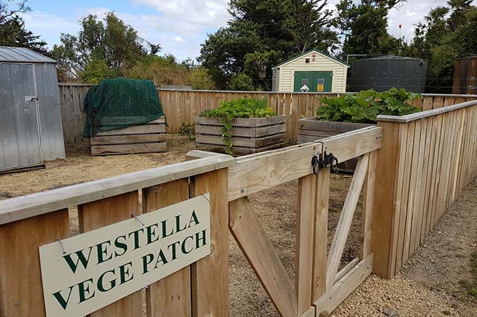 Photo of the Westella Vege Patch, with raised garden beds. 