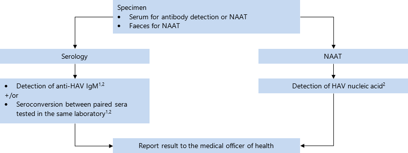 Specimen: serum for antibody detection or NAAT, faeces for NAAT. Send for serology, NAAT. If anti-HAV IgM[1,2] detected and/or seroconversion between paired sera testing in the same laboratory [1,2] for serology, or detection of HAV nucleic acid[2] for NAAT, report result to the medical officer of health. 