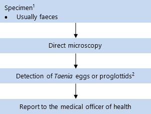 Specimin[1]: usually faeces. Sent for direct microscopy. On detection of Taenia eggs or proglottids[1], report to the medical officer of health. 