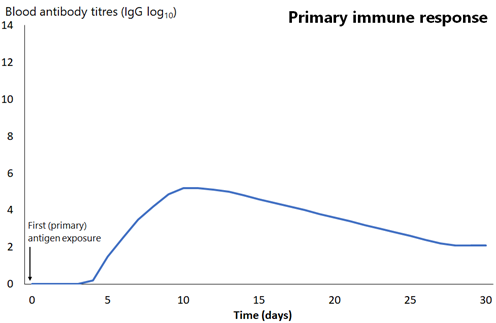 This graph shows primary immune response as a function of blood antibody titers and time, peaking at day 10.