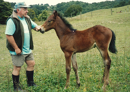 Photo of Jim holding a young horse