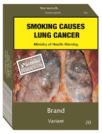 Indicative 3-D image of a standardised cigarette pack