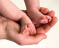 Photo of a newborn baby's feet cupped in an adult's hand. 