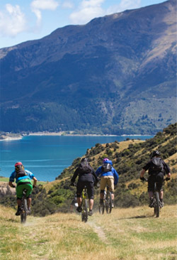 A group of mountain bikers heading over the hill towards a lake. 
