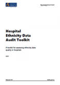 Hospital Ethnicity Data Audit Toolkit. 