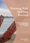 Nursing Safe Staffing Review. 