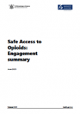 Safe Access to Opioids: Engagement summary