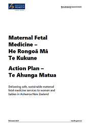 Maternal Fetal Medicine Action Plan. 