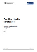 Pae Ora Health Strategies: Summary of feedback from engagement. 