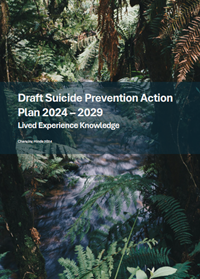 Draft Suicide Prevention Action Plan 2024–2029: Lived Experience Knowledge