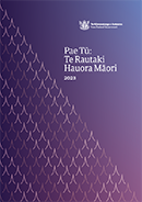 Pae Tū: Hauora Māori Strategy