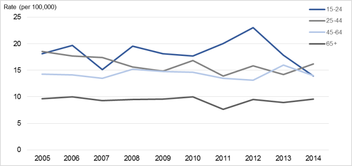 Figure 3. Age-standardised suicide rates, by life-stage age group (years), 2005–2014