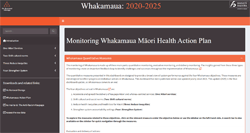 Whakamaua Quantitative Dashboard. 